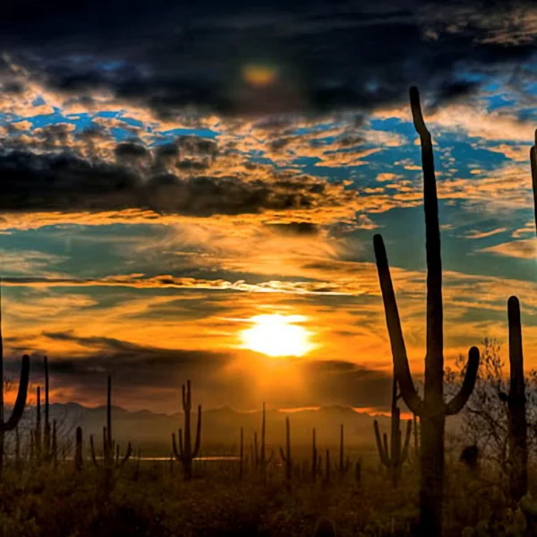 Sunset 27
