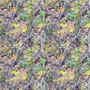 Fall Camouflage Fall Camouflage