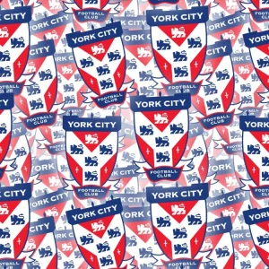 York City FC