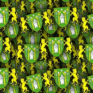 Yeovil Town FC