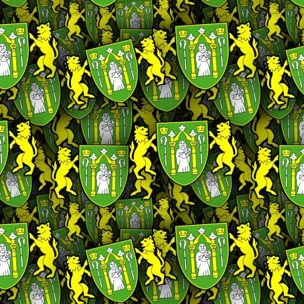 Yeovil Town FC