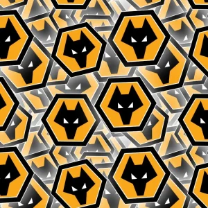 Wolverhampton Wanderers FC