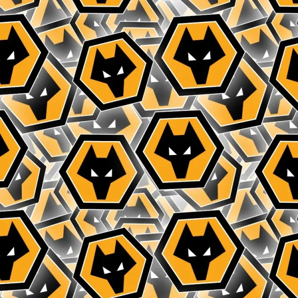 Wolverhampton Wanderers FC