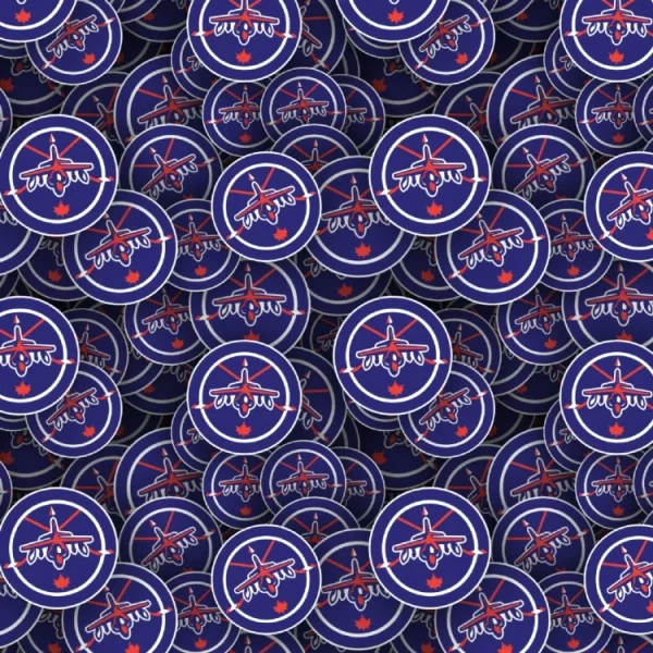 Winnipeg Jets 24