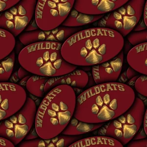 Wildcats 22
