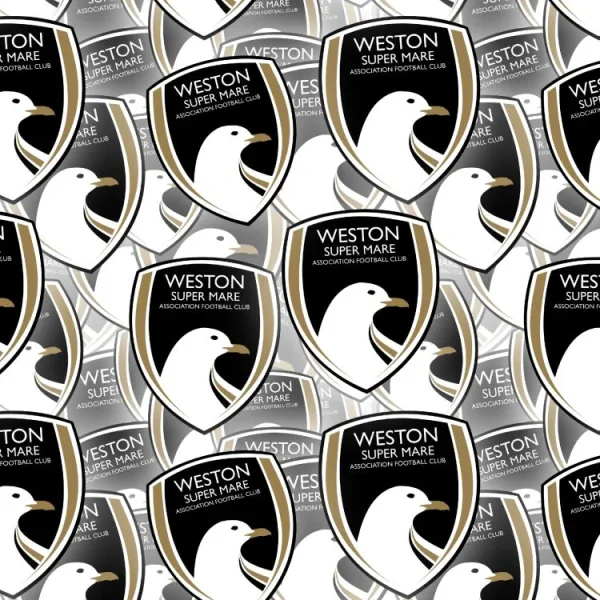 Weston Super Mare AFC