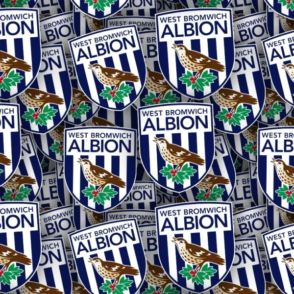 West Bromwich Albion FC