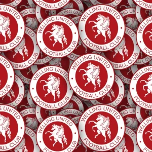 Welling United FC