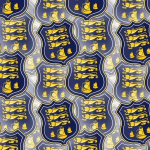 Waterford FC