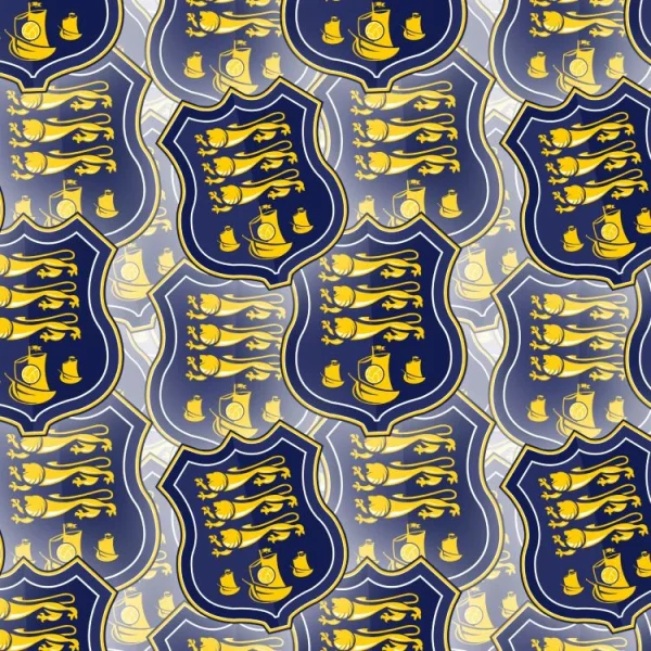 Waterford FC