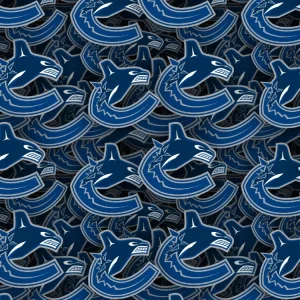 Vancouver Canucks 22