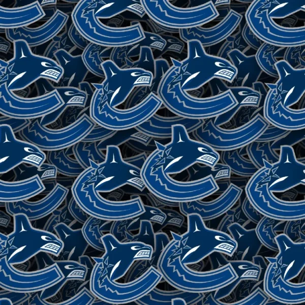 Vancouver Canucks 22