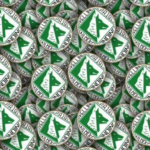 US Avellino