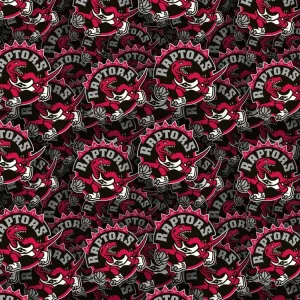 Toronto Raptors 24