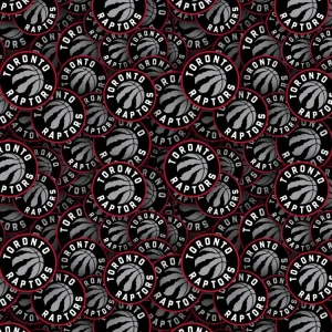 Toronto Raptors 23