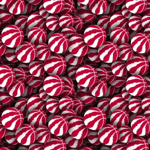 Toronto Raptors 22