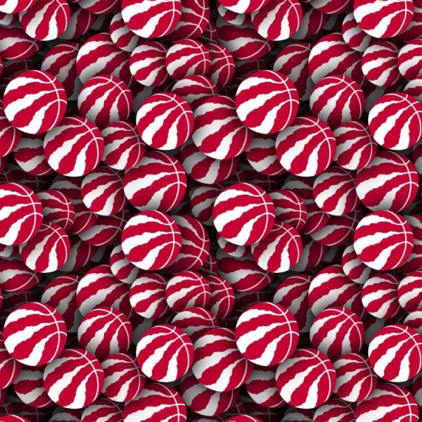 Toronto Raptors 22