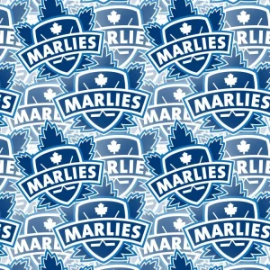 Toronto Marlies 23