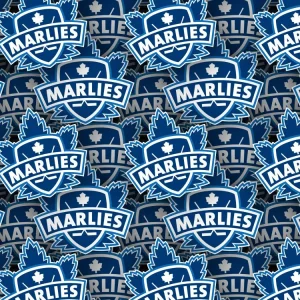 Toronto Marlies 22