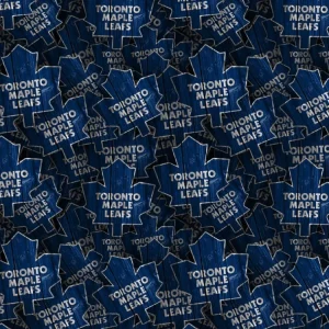 Toronto Maple Leafs 25