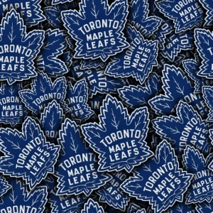 Toronto Maple Leafs 22