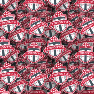 Toronto FC 22