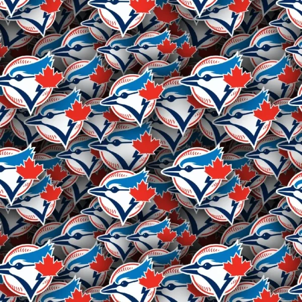 Toronto Blue Jays 24
