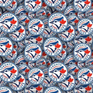 Toronto Blue Jays 22