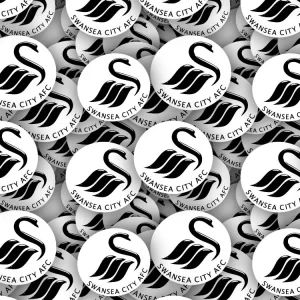 Swansea City AFC