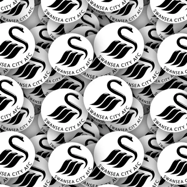 Swansea City AFC