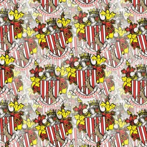 Stevenage FC