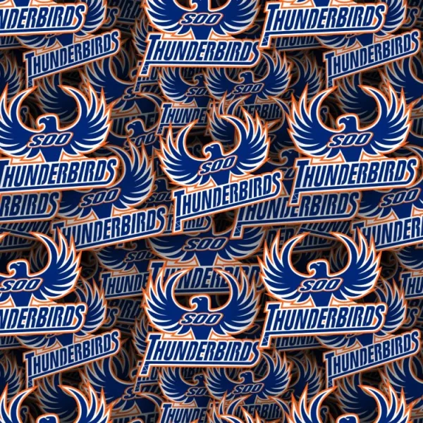 Soo Thunderbirds 22