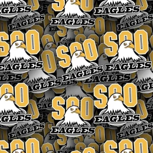 Soo Eagles 22
