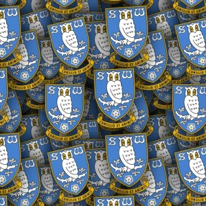 Sheffield Wednesday FC
