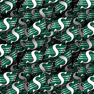 Saskatchewan Roughriders 23