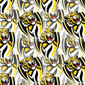 Richmond Football Club 23