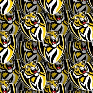Richmond Football Club 22