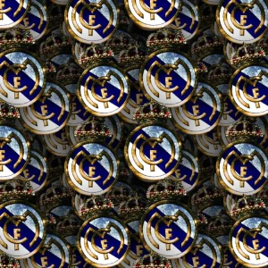 Real Madrid FC 24