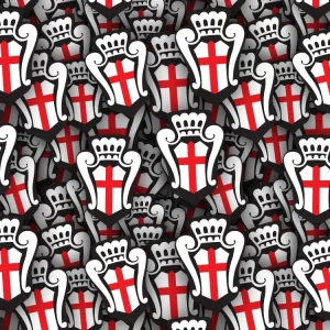 Pro Vercelli