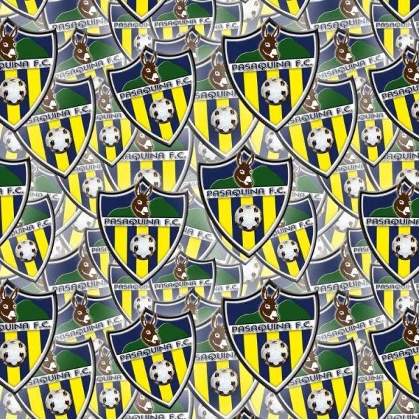 Pasaquina FC