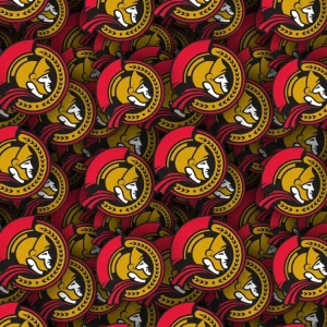 Ottawa Senators 24