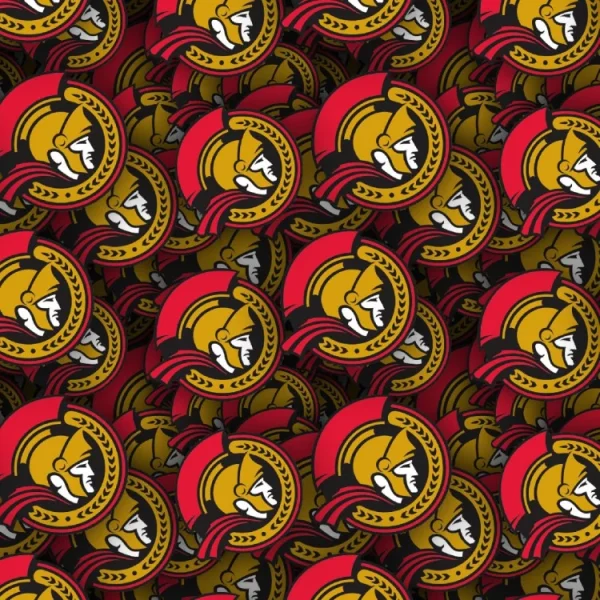 Ottawa Senators 24