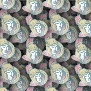 Ottawa Senators 23