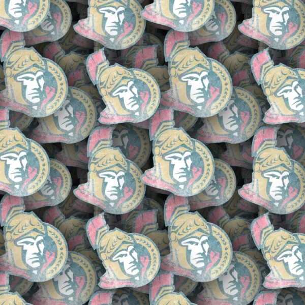 Ottawa Senators 23