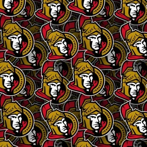 Ottawa Senators 22