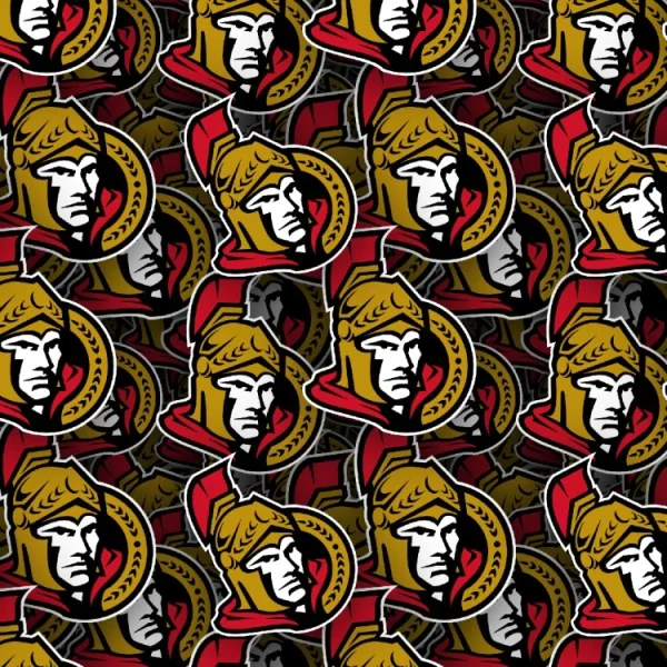 Ottawa Senators 22