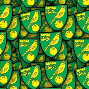 Norwich City FC