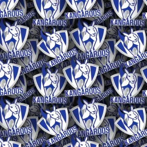North Melbourne FC 22