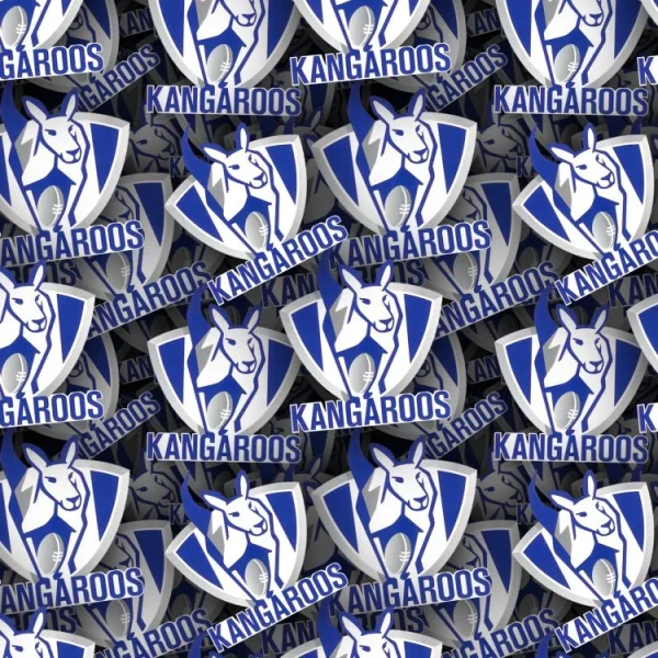 North Melbourne FC 22