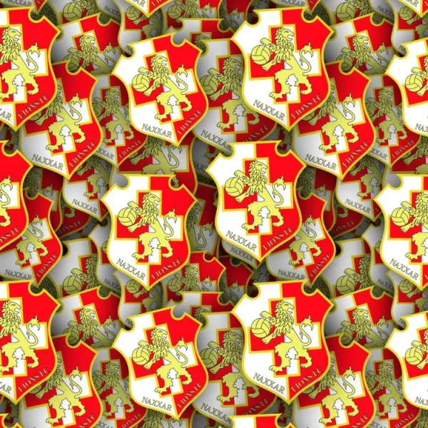 Naxxar Lions